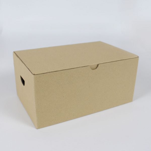 กล่องไก่ทอด-(Size-L)-ขนาดเดียวกับกล่อง-KFC-1