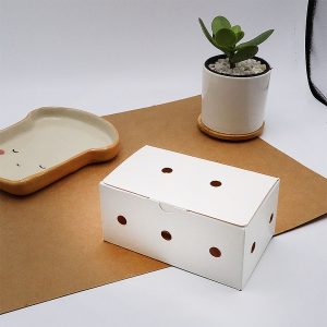 กล่องไก่ทอดบอนชอน-สีขาว-3-4-ชิ้น-(Size-S)